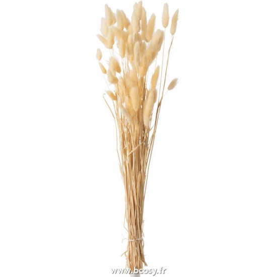 J-line 12368 Jolipa JLine fleurs bouquet