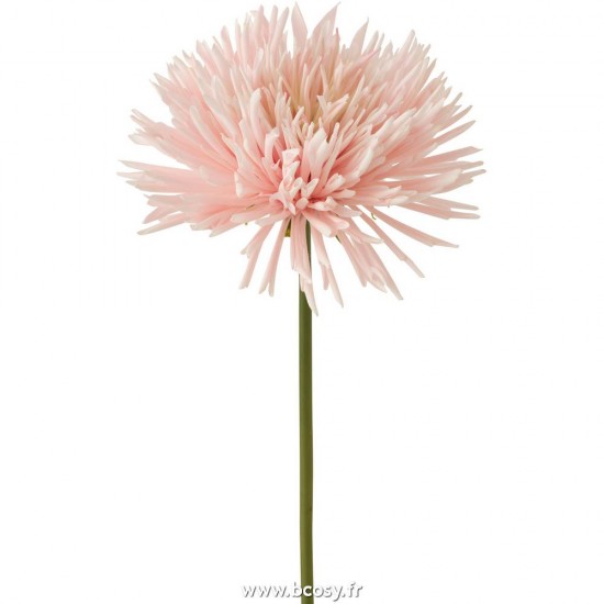 J-line 12417 Jolipa JLine fleurs fleurs diverses