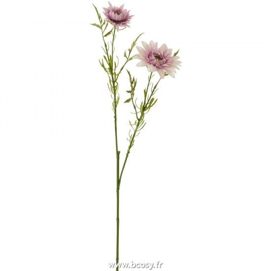J-Line J Line fleurs Jolipa Paquerette Plastique Mauve Clair.