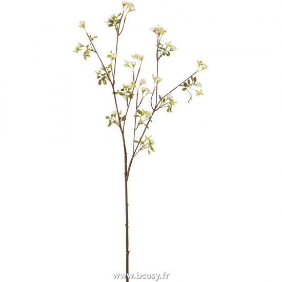 J-Line J Line fleurs Jolipa Myosotis Plastique Blanc.