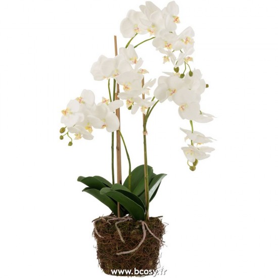 J-Line fleurs Jolipa J Line Jline Orchidee En Terre Plastique Blanc Vert Large