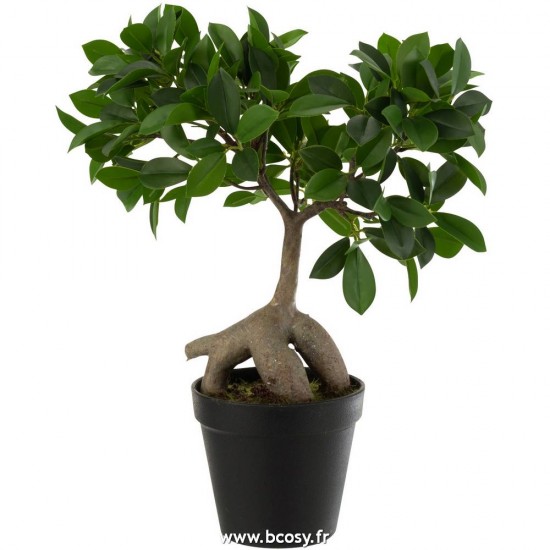 J-Line plantes Jolipa J Line Jline Ficus Arbre En Pot Plastique Vert Noir Small