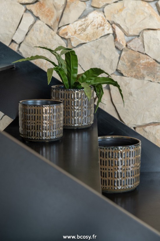 J-Line plantes 12520