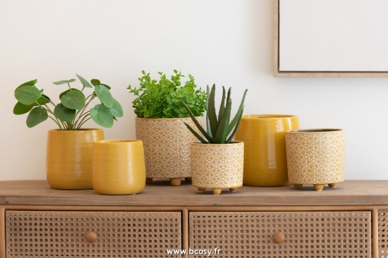 J-line 12526 Jolipa JLine fleurs plante en pot