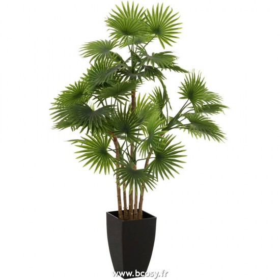 J-line 12531 Jolipa JLine fleurs plante en pot