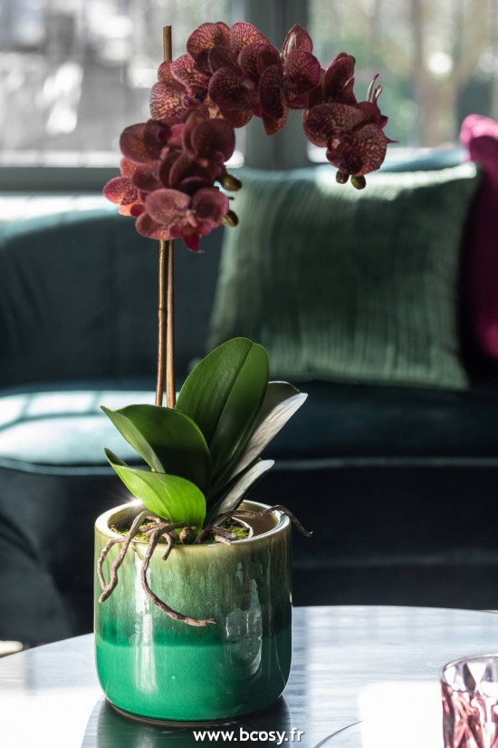 Jolipa J Line Jline Orchidee Pot Plastique Ciment Rose Fonce Argent