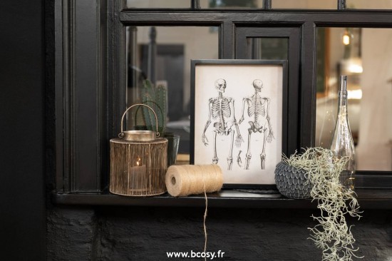 Jolipa J Line Jline Lanterne Metal Antique Marron Small