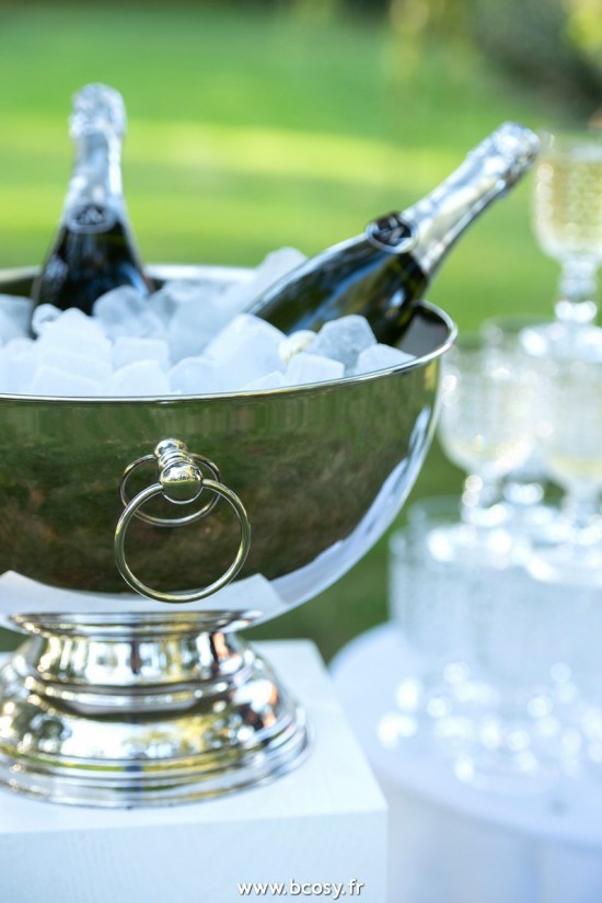 Jolipa Jline Coupe A Champagne Argent