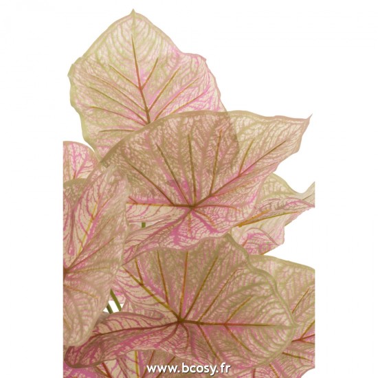 J-line 22020 Jolipa JLine fleurs plante en pot