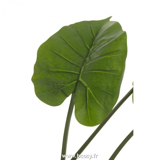 J-line 22022 Jolipa JLine fleurs plante en pot