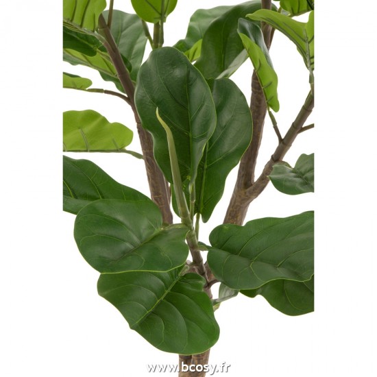 J-line 22027 Jolipa JLine fleurs plante en pot