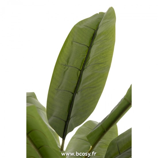 J-line 22028 Jolipa JLine fleurs arbre