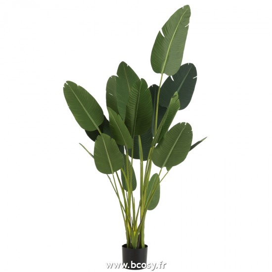 J-Line plantes en pot Jolipa J Line Jline Strelitzia Plastique Vert Large