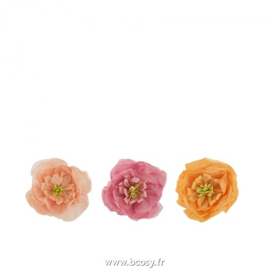 J-line 22230 Jolipa JLine objets deco nature