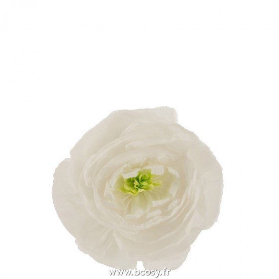 J-line 22233 Jolipa JLine objets deco nature