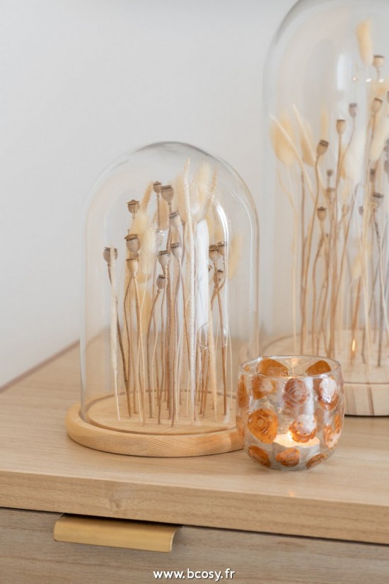 J-Line cloches cuvecles clochettes en verre statuettes J Line Cloche En Verre Sur Fleurs Sechées Ecru Brun Verre Bois Large