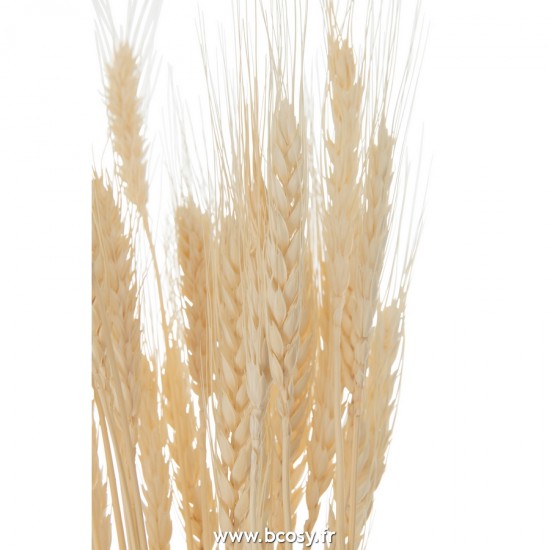 J-line 22460 Jolipa JLine fleurs fleur sechee