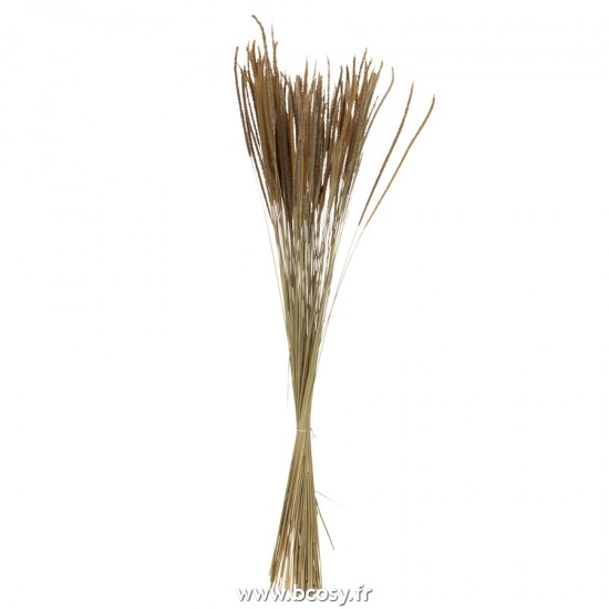 J-Line gazon décoratif Jolipa J Line Jline Bouquet Pennisetum Seche Naturel
