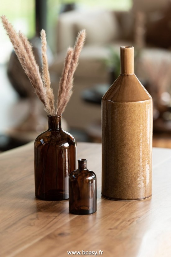 J-Line fleurs Botte Pennisetum Herbes Sechees Marron