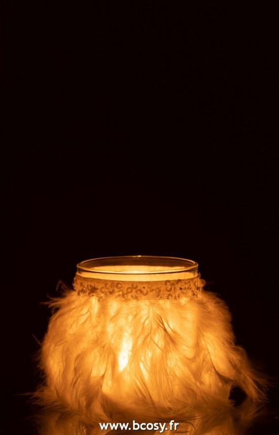 J-Line photophores Jolipa J Line Jline Photophore Plumes Blanc Verre Transparant Medium