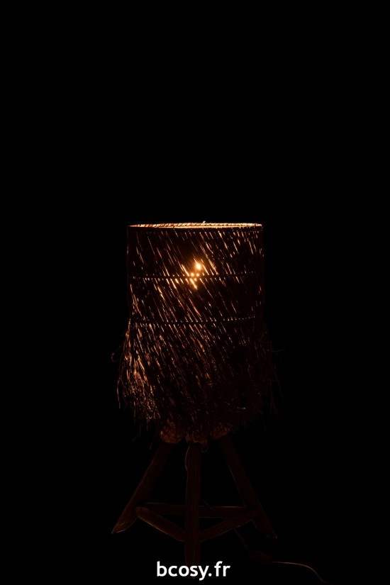 J-Line J Line Éclairage Armatures Luminaires D'intérieur Pieds De Lampe Avec Abat Jour Lampes De Table Jolipa Lampe Branche A.