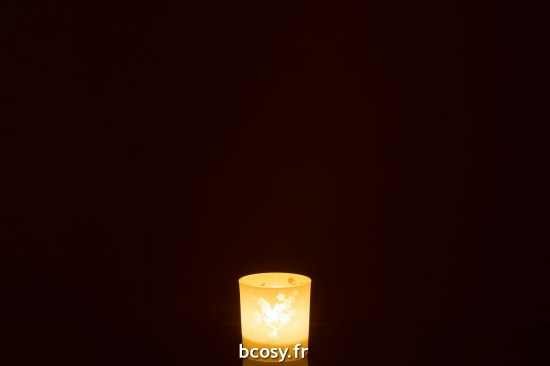 J-Line J Line photophores Jolipa Photophore Fleurs Verre Vert Small.