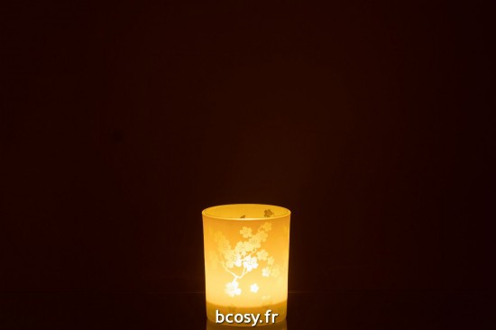 J-Line J Line photophores Jolipa Photophore Fleurs Verre Vert Medium.