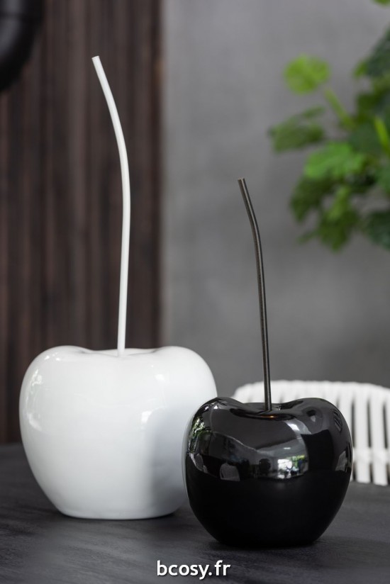 Jolipa Cerise Resine Brillant Blanc Noir Large Assortiment De 2.