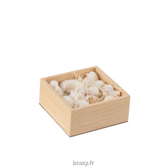 J-line 32993 Jolipa JLine materiel de decoration coquillage.