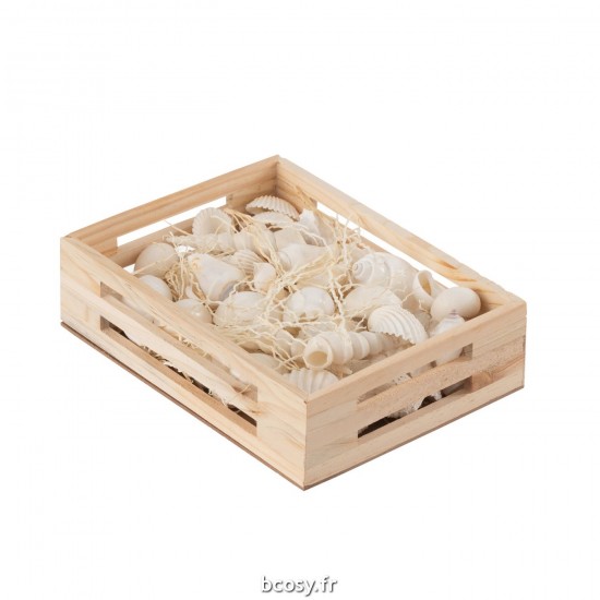 J-line 32994 Jolipa JLine materiel de decoration coquillage.