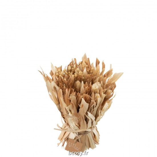 J-line 32999 Jolipa JLine fleurs fleur sechee.