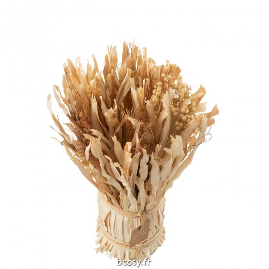 J-line 33000 Jolipa JLine fleurs fleur sechee.