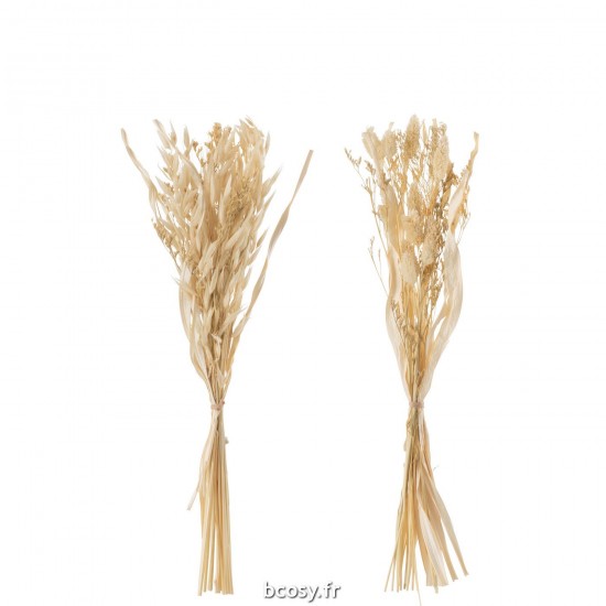 J-line 33002 Jolipa JLine fleurs fleur sechee.