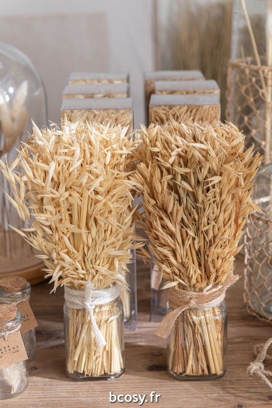 J-Line J Line fleurs séchées Bouquet Herbes Avana Dans Vase Naturel Assortiment De 2.