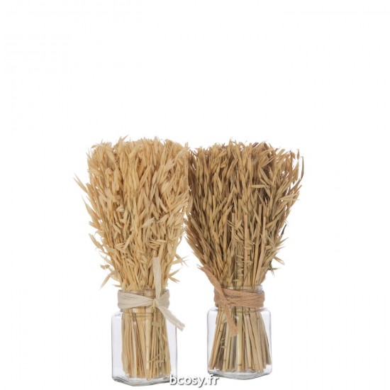 J-line 33003 Jolipa JLine fleurs fleur sechee.