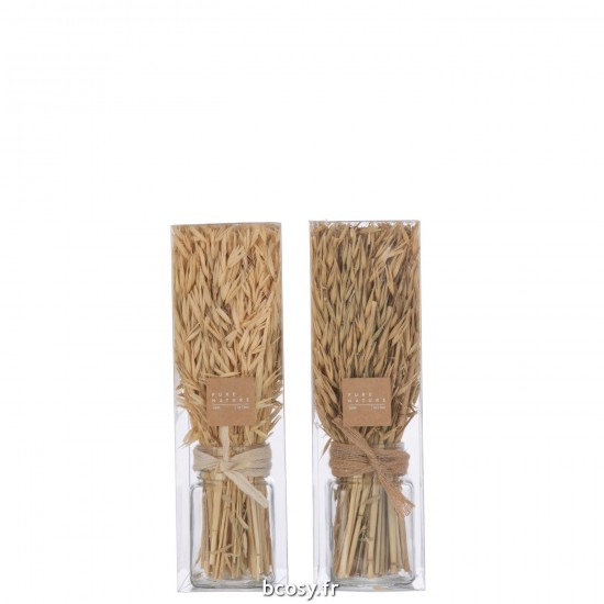 J-Line J Line fleurs séchées Jolipa Bouquet Herbes Avana Dans Vase Naturel Assortiment De 2.