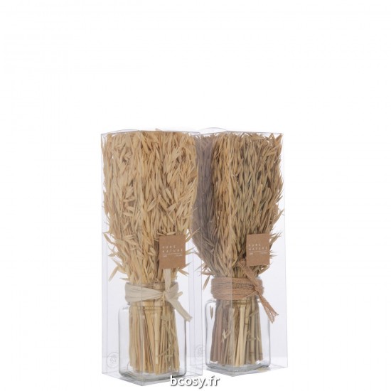 Jolipa Bouquet Herbes Avana Dans Vase Naturel Assortiment De 2.