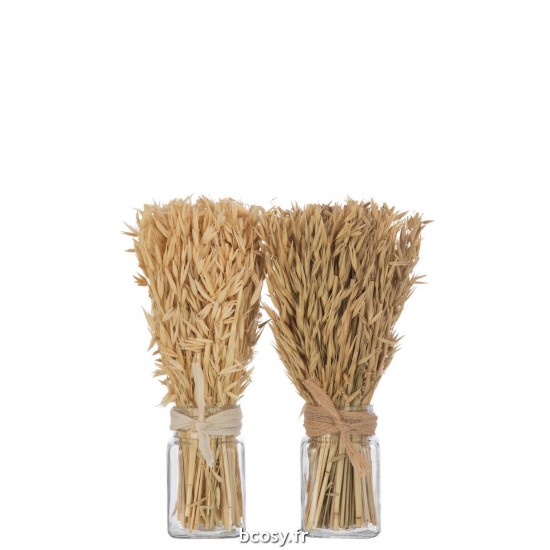 J Line Bouquet Herbes Avana Dans Vase Naturel L10xB10xH31 cm JLine 33003 by Jolipa 33003 Assortiment de 2 pcs.