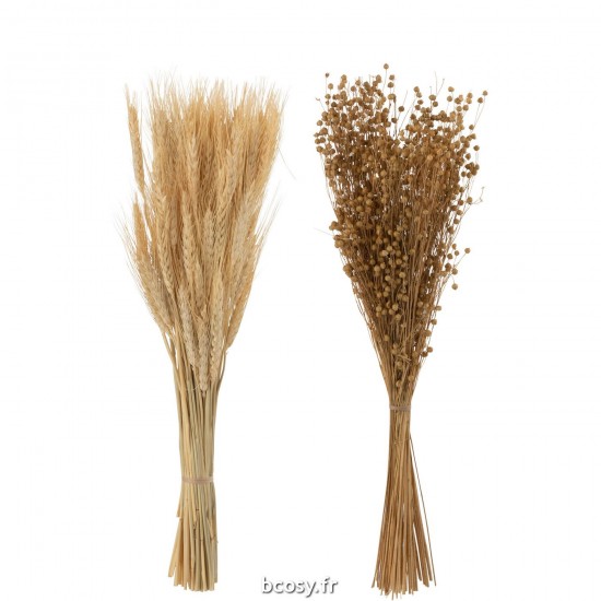 J-line 33004 Jolipa JLine fleurs fleur sechee.