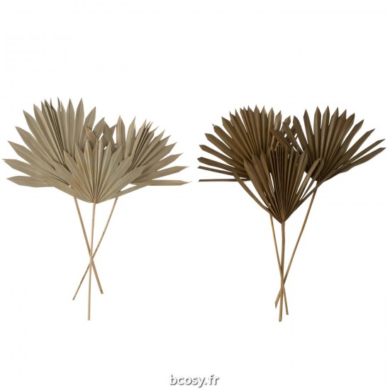 J-line 33007 Jolipa JLine fleurs fleur sechee.