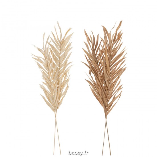 J-line 33009 Jolipa JLine fleurs fleur sechee.