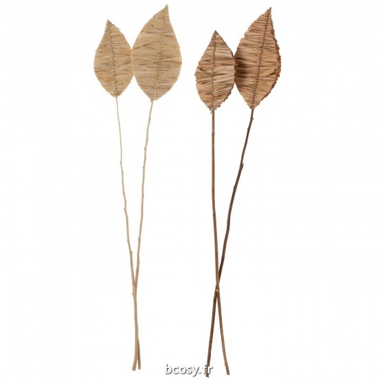 J-line 33010 Jolipa JLine fleurs fleur sechee.