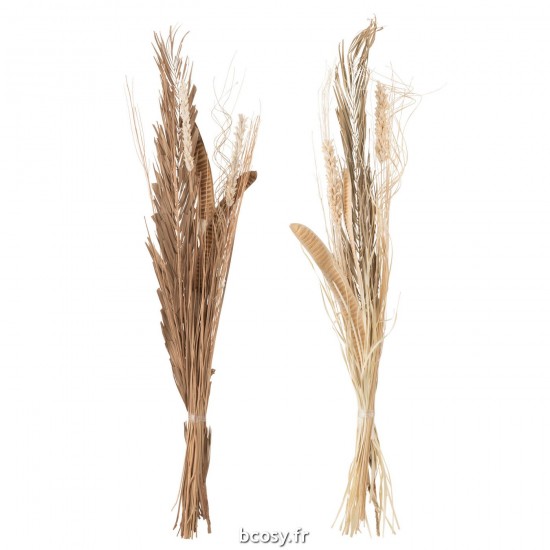 J-line 33012 Jolipa JLine fleurs fleur sechee.