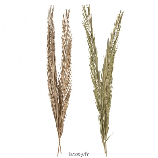 J-line 33013 Jolipa JLine fleurs fleur sechee.