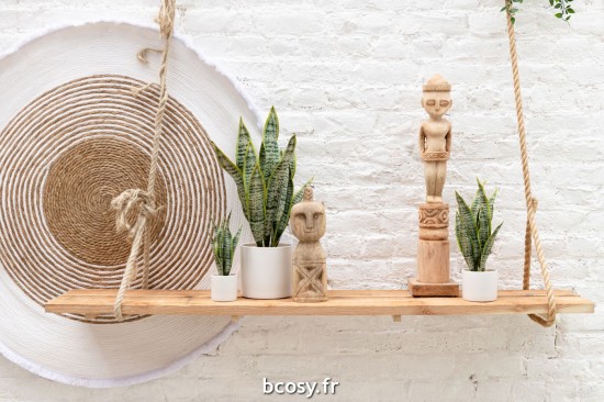 Jolipa Plant Sansevieria En Pot Pvc Vert Large.