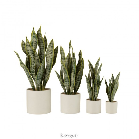 J-Line J Line Succulentes Jolipa Plant Sansevieria En Pot Pvc Vert Extra Large.