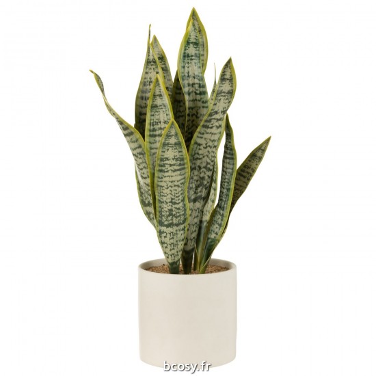 J Line Plant Sansevieria En Pot Pvc Vert Extra Large L16xB16xH59 cm JLine 33023 by Jolipa 33023.