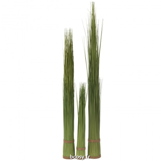 J-line 33029 Jolipa JLine fleurs herbe.