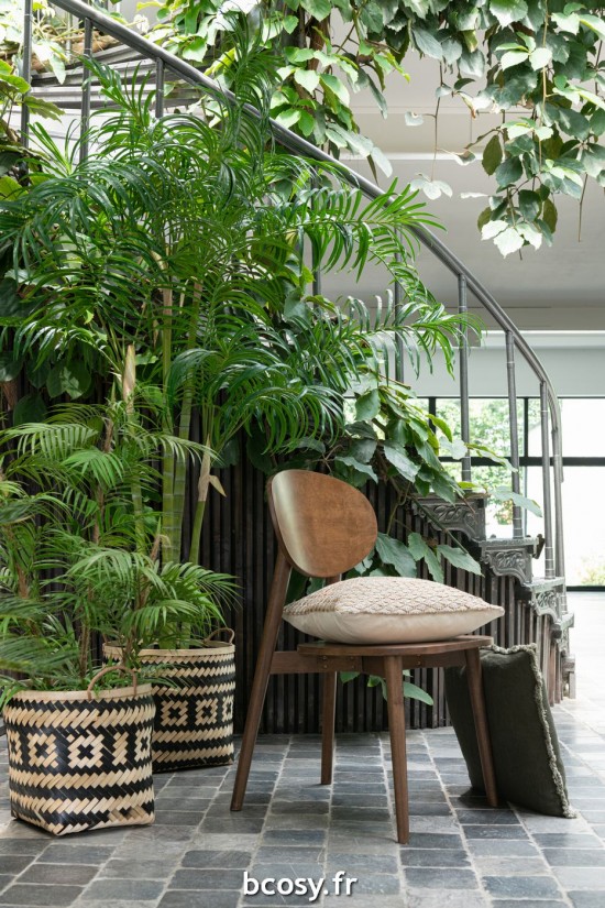 J-line 33194 Jolipa JLine rangement panier.