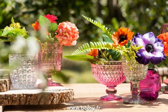 J-line 3684 Jolipa JLine services verre